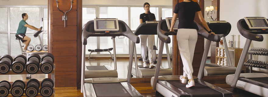 alvearpalace-fitness