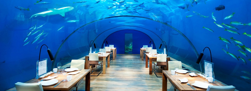 restaurante-bajoelmar